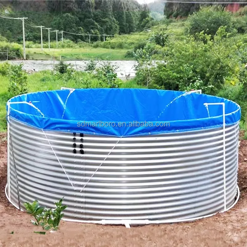 Customized Outdoor Tilapia Fish Farming Bbreeding System Other Aquaculture Equipment Ssupplies