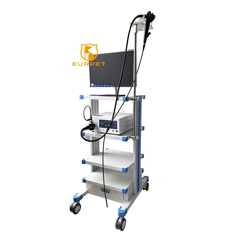 EURPET Vet Clinic Medical Digital Veterinary Gastroscope Portable Fiber Endoscopy Equipment Flexible Video Endoscope