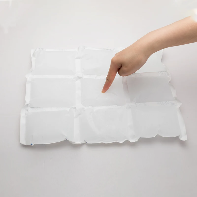 BSG 390*290mm 9pcs in one  Frozen Food Fresh Keep Dry Ice Pack One Piece 24 Cells Ice Cube Bags