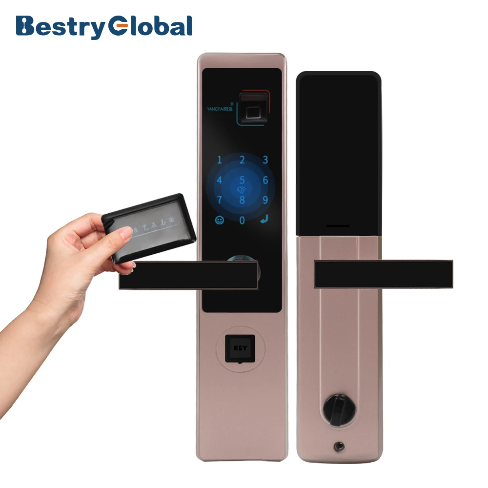 Electromagnetic And Electric Locks Evernet Digital Door Lock Rf Card Door Lock