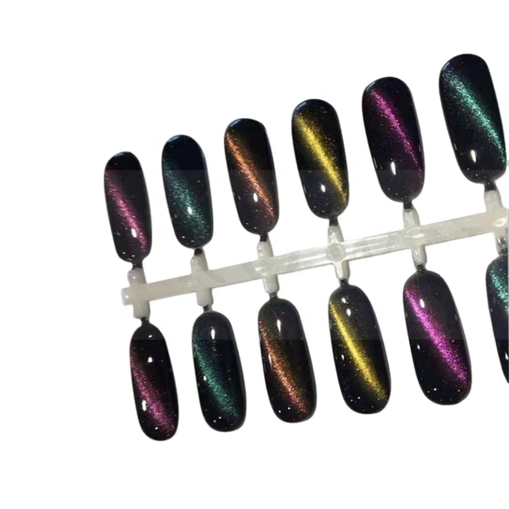 Super Chameleon Magnetic Pigment Nail Art Pigment Powder Car Painting Pigment