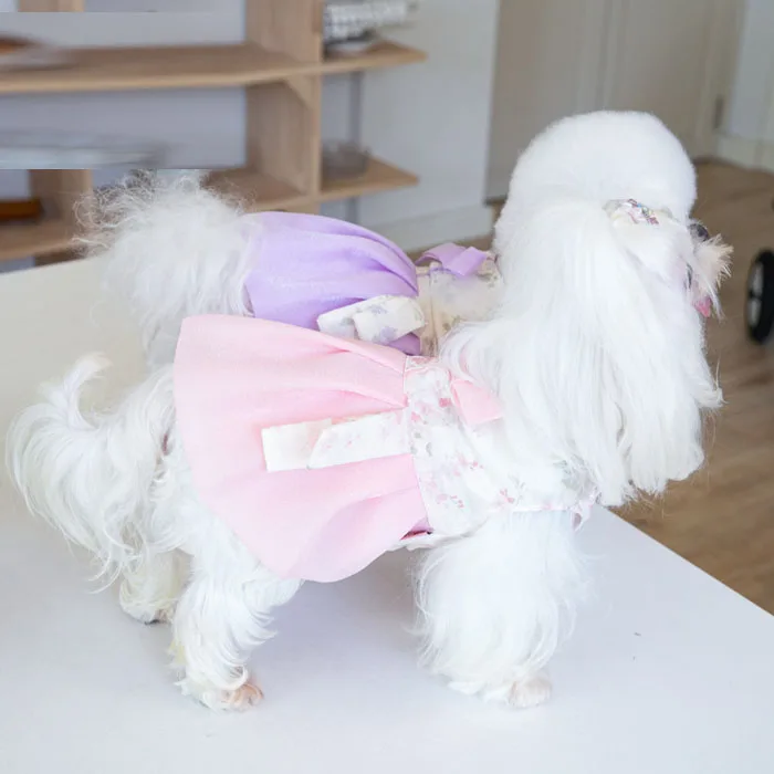 Latest Fashion Spring Summer Pet Dog Print Dress Skirt Clothes