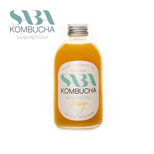KOMBUCHA MANGO 12 PCS in BOX Health taste of high-quality, SABA PLANT BASED Made In UAE