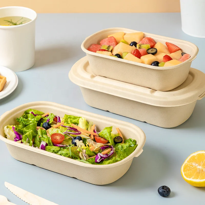 Eco Friendly Takeaway Fruit Meat Cake Food Tray Sugarcane Bagasse Lunch Box With Lid Biodegradable Bagasse Tray