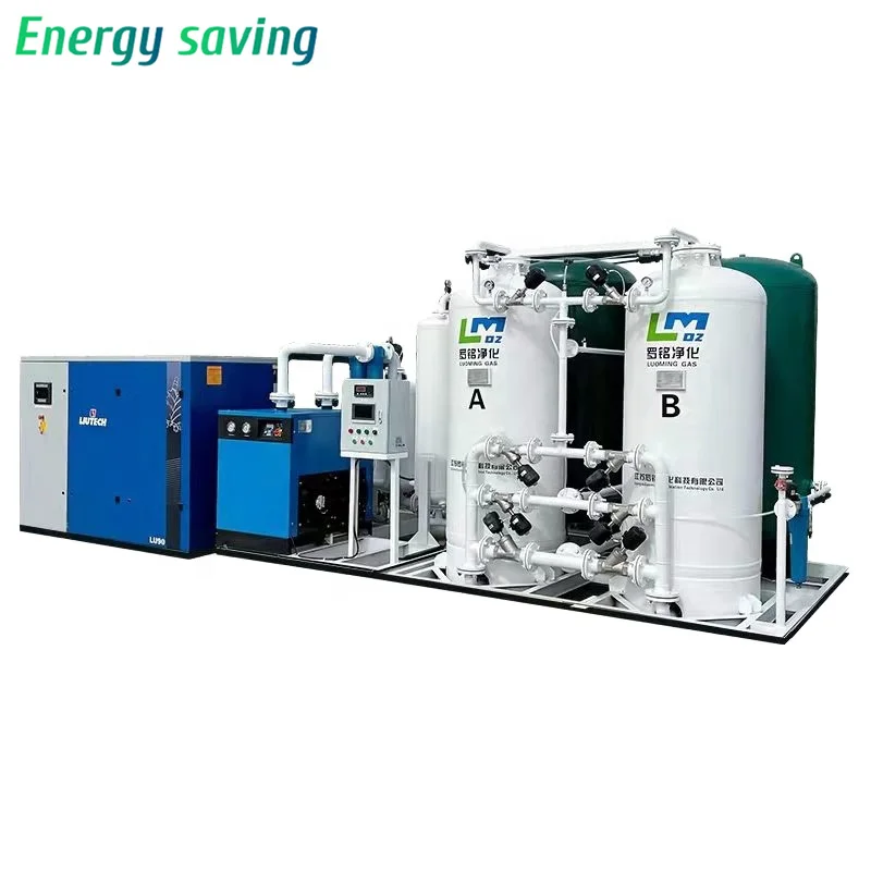 Reliable Custom High Purity 99.999% N2 Gas Generation Equipment CE PSA Nitrogen Generator for Food Industry