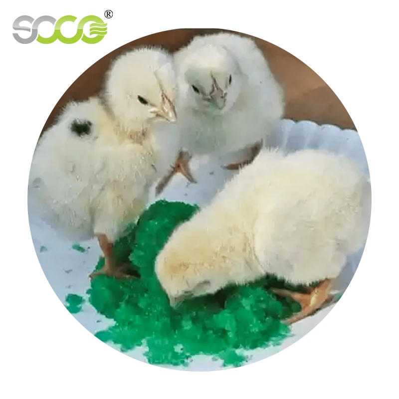 Potassium Polyacrylate Sap Water Hydrogel Agriculture Super Water Absorbent Polymer for Chick Rehydration