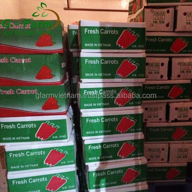 
New crop 20120 fresh carrot export from Vietnam size S M L 2L 3M high quality 