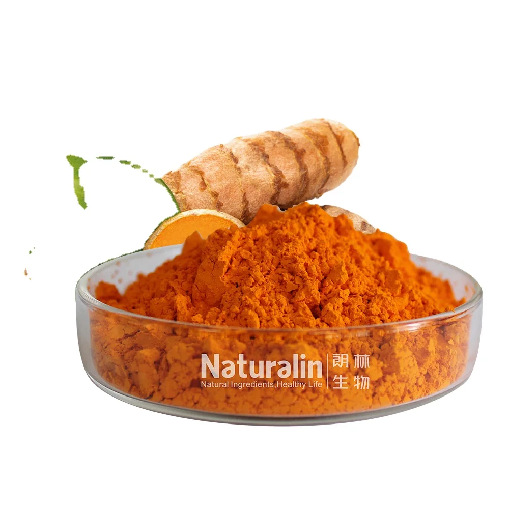 Лидер продаж экстракт здоровья Curcuma Longa Linn 95% curcuminoids самый продаваемый Экстракт корня куркумы
