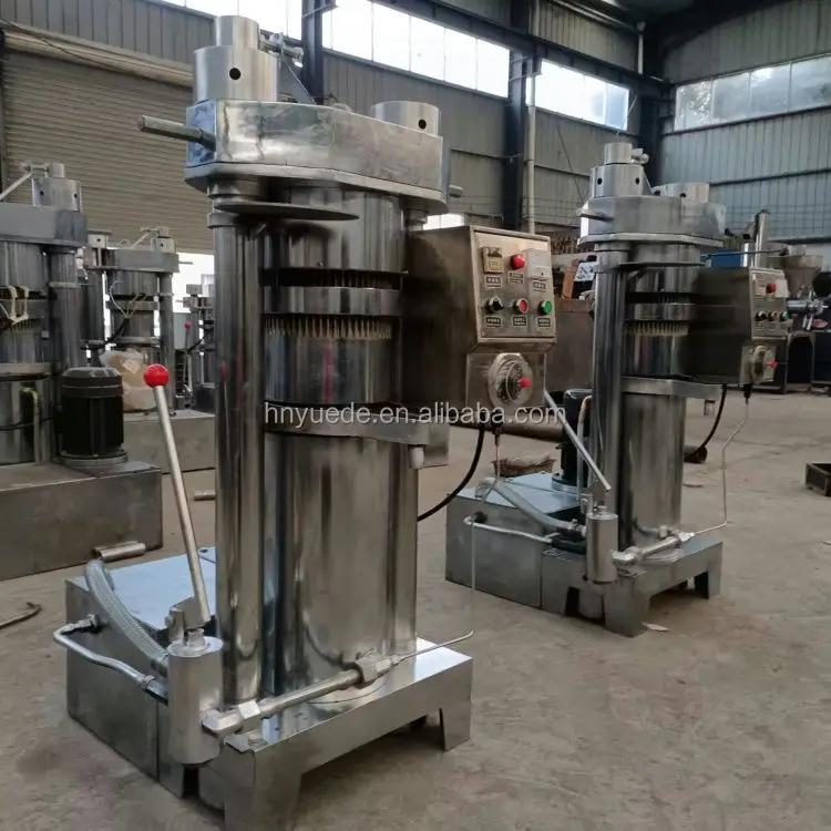 Moringa Soybean Cacao Oil Extractor Automatic Olive Canola Nut Oil Extraction Machine Small Cold Press Oil Machine