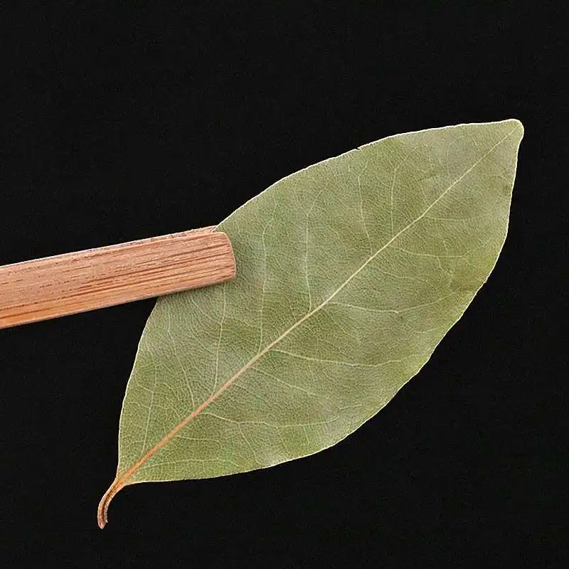 2020 New 100% Pure Cuisine Spices Dried Bay Leaves/Laurel Leaves