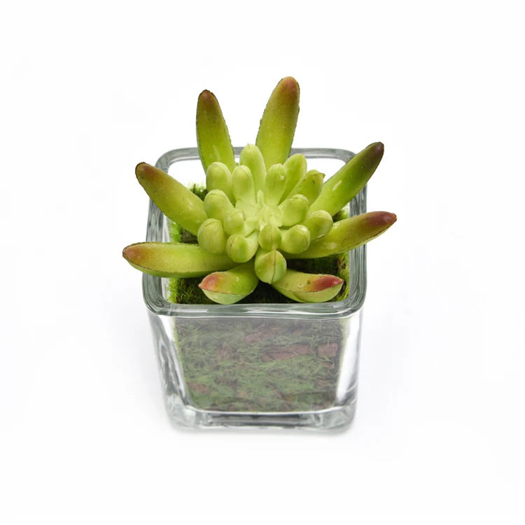Hot Selling Artificial Potted Plant, Faux Tabletop Greenery For Interior Decoration