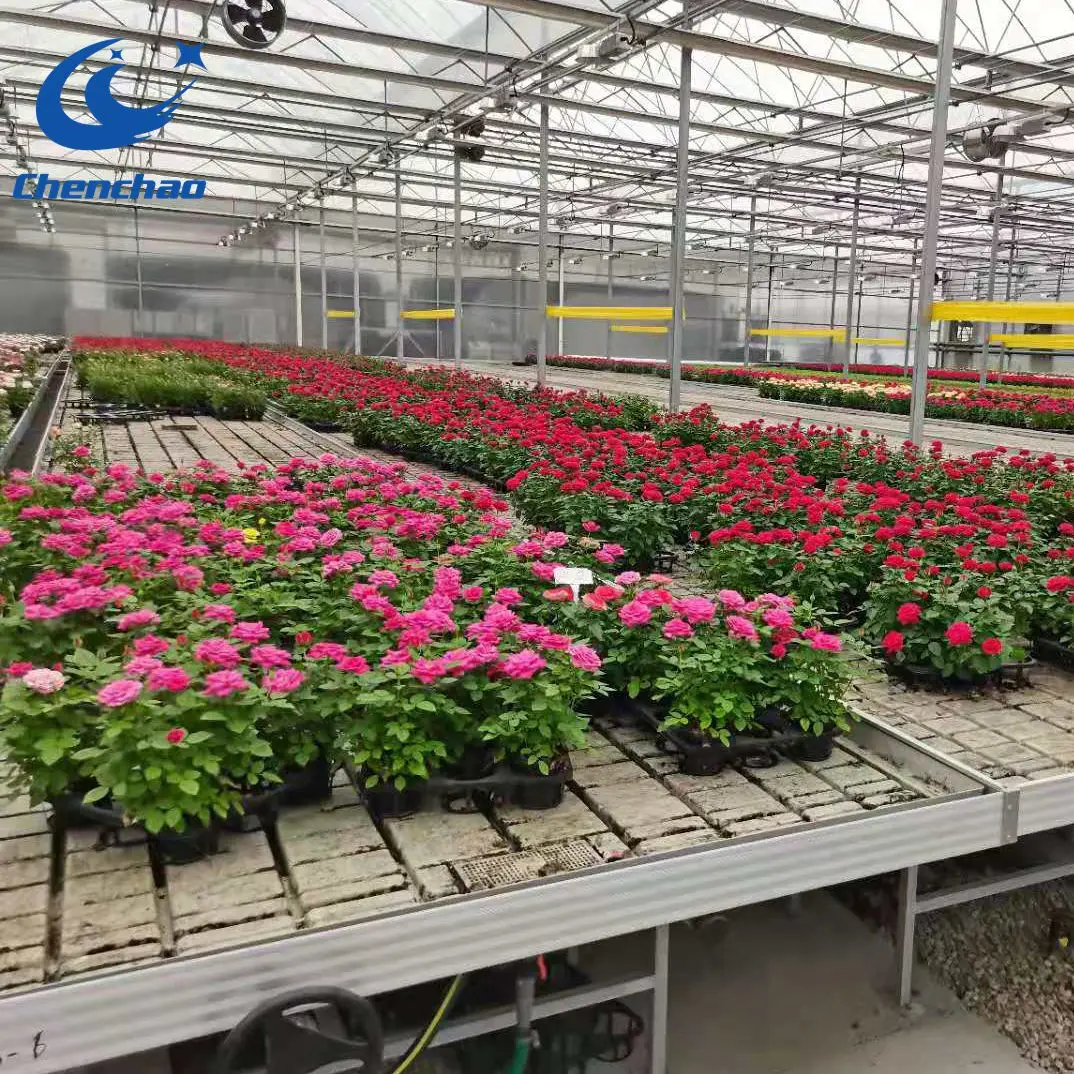 Ebb and Flow Table Low Price with Hand Wheel Used in Greenhouse