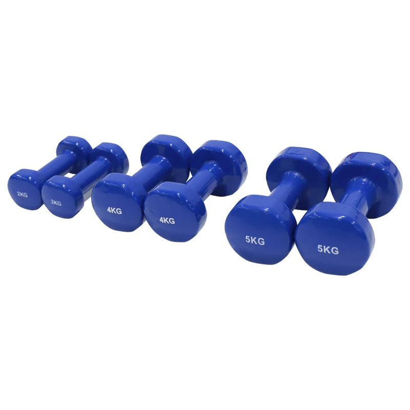 Dip Plastic Dumbbell Wholesale Cheap OEM Gym Dumbbell Weight Lifting Direct Manufacture Hex Dumbbell Set Body Building