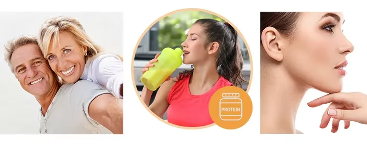 Undenatured type ll collagen/ Undenatured Type 2 collagen/ Undenatured Collagen Type II