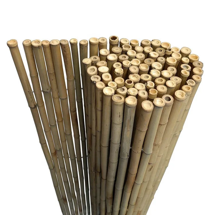 solid treated bamboo post bamboo poles for hog fencing cheap
