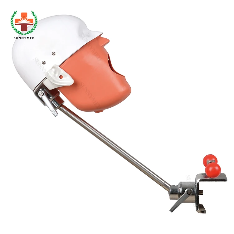 Manikin Medical Simulator System Phantom Teaching and Learning for Students