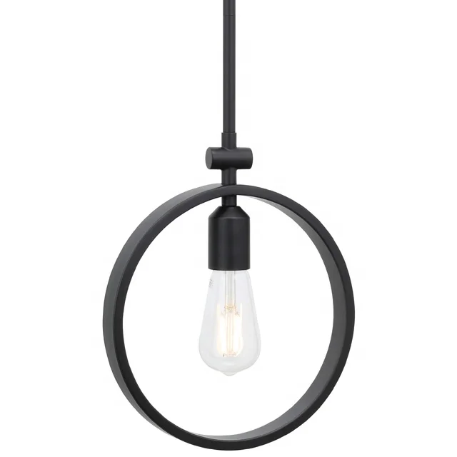 Industrial Black Metal Hoop foyer chandelier Adjustable Hanging Mini Pendant Light with LED Bulb and Glass