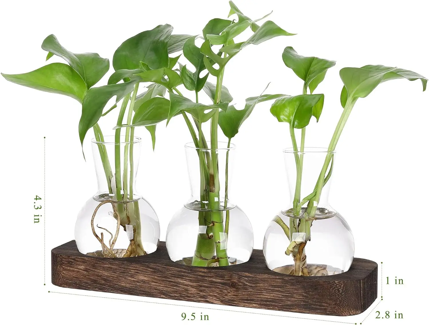 Retro Plant Terrarium with Wooden Tray