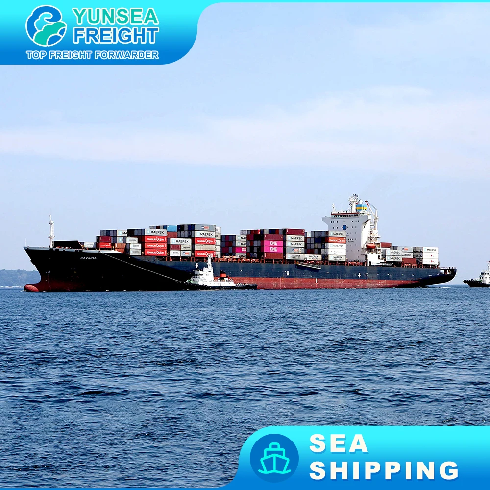 To Berne faster  Cargo DDU DDP Shipping Sea Freight Forwarder Cheapest Charge Rates Ocean Transportation to USA Transit Time