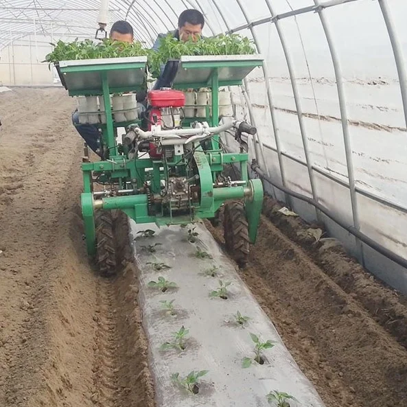 automatic 2ZBLZ-4 crawler 4 rows vegetable seedling transplanter bacco planting machine potato electric seedling transplanter