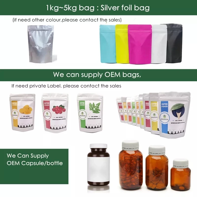 Wholesale Bulk Price Natural Organic Pumpkin Seed Protein Powder High Quality Pumpkin Seed Protein Powder