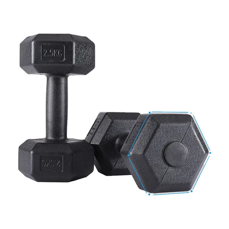 Factory Hot Sale Gym Bodybuilding Equipment Weight Lifting Environmental Hexagonal Fixed Dumbbell