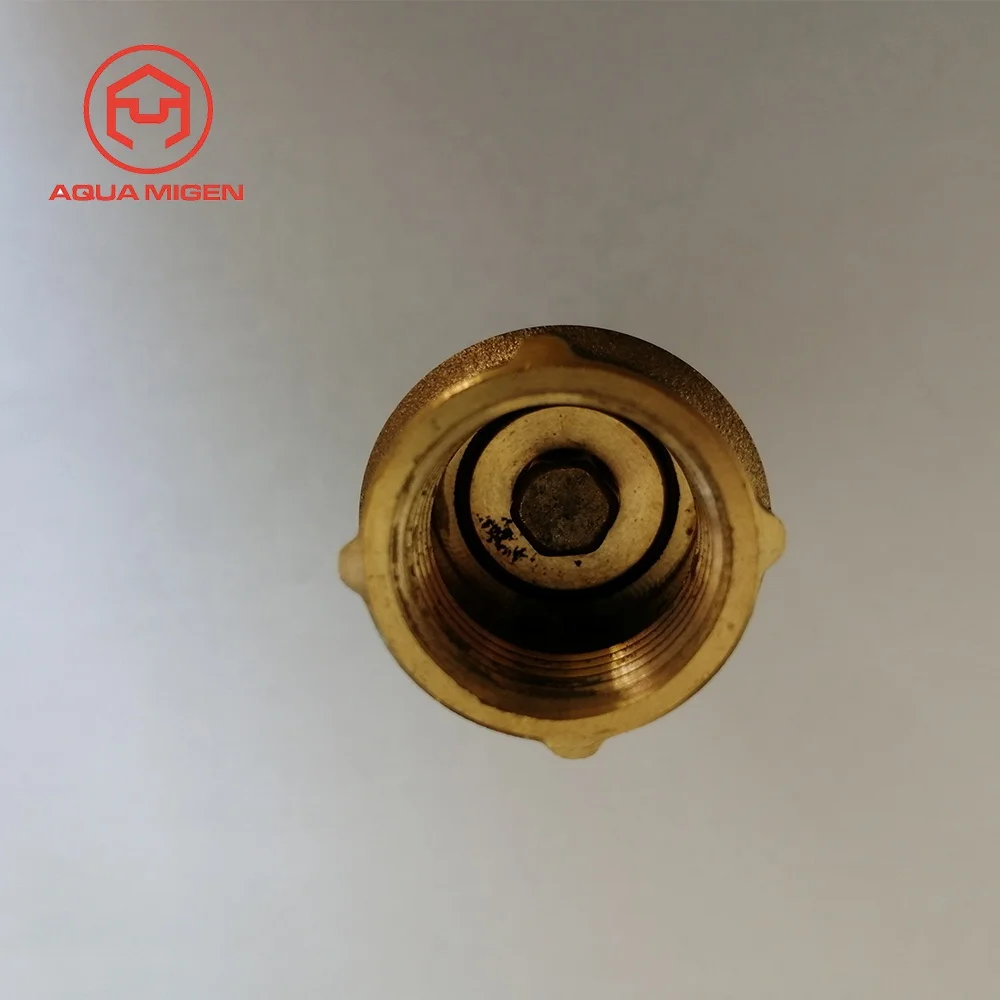 200 PSI 3/4 in FIP BSP/NPT Thread Brass Foot Valve for Jet Well Pumps