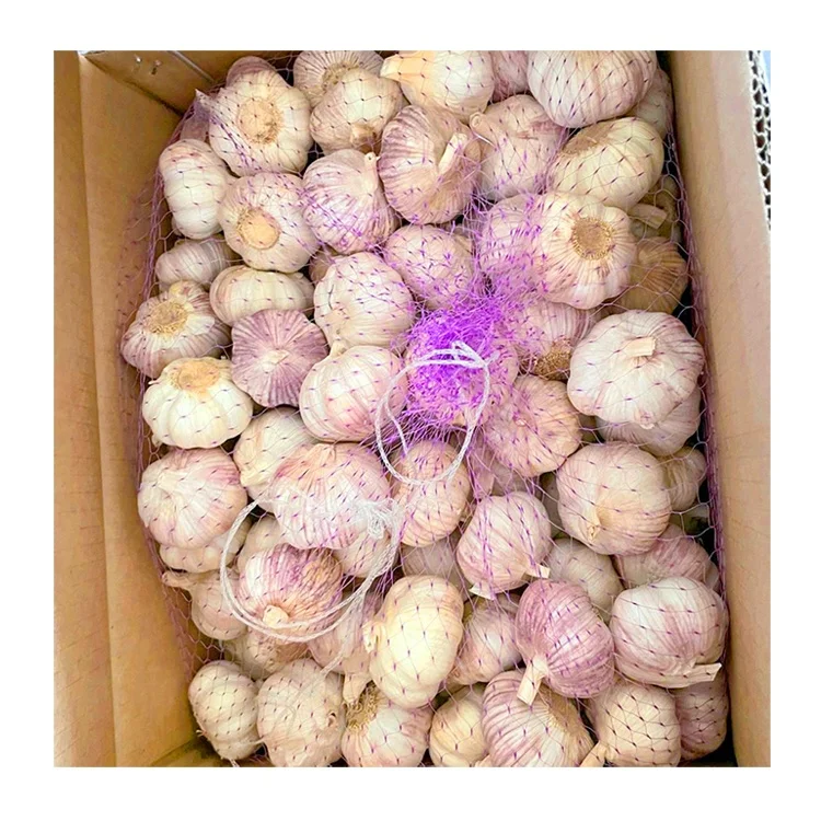 Garlic fresh normal white garlic high quality 10kg carton wholesale Chinese fresh red garlic GLOBAL GAP