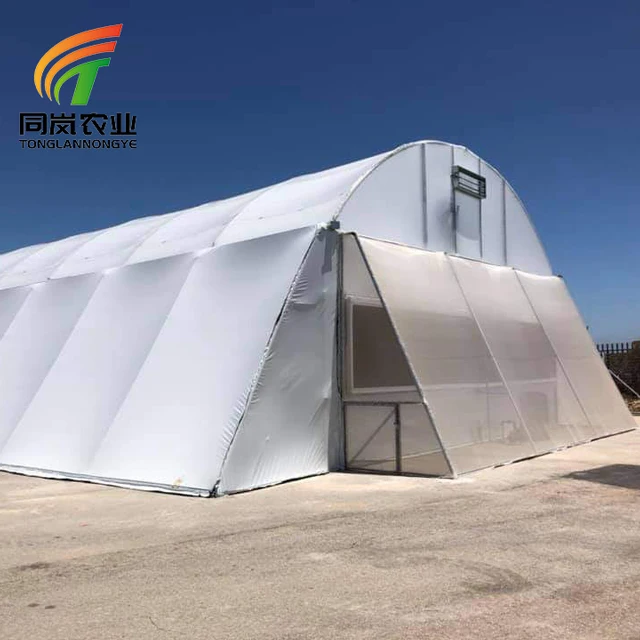 Low Cost Single Span Tunnel Uv Coating Plastic Film Mushroom Vegetables Growing Greenhouse