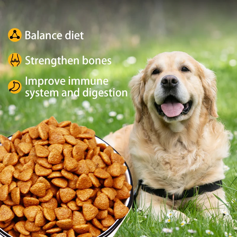  New Products High Quality for Pet Food and Dog as Chicken Flavor Dry Medium & Large Breed