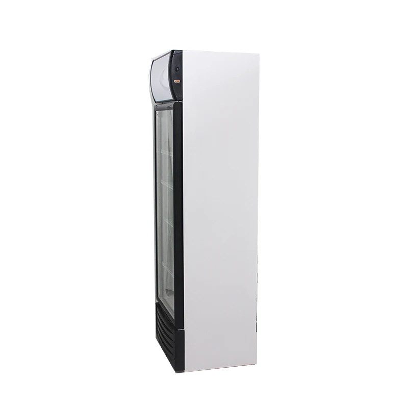 Commercial Single-Temperature Pepsi Drink Display Refrigerator 2-Door Glass Door Cooler for Supermarket Meat Store Applications