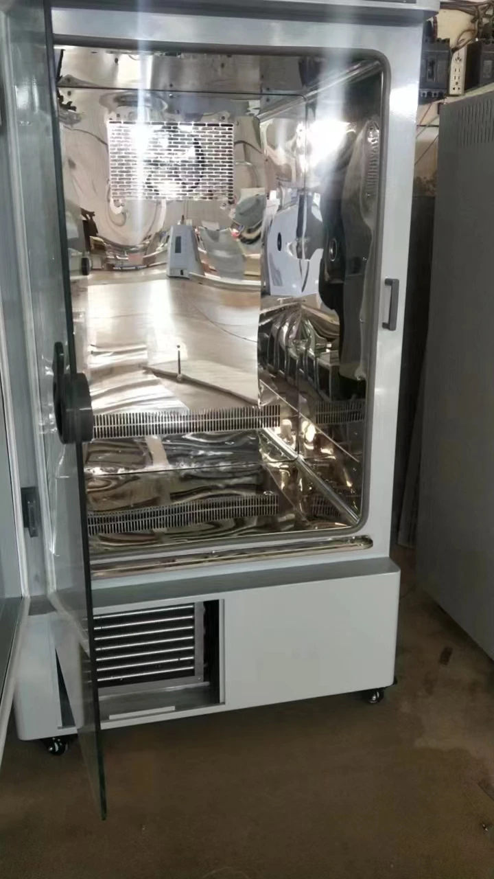 Laboratory Bacteria Microbiology Mildew Mould Incubator