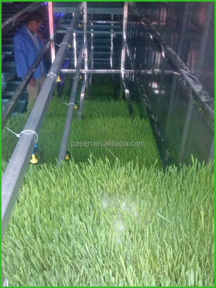 Green Forage Grass Sprouting Machine Livestock Green Fodder Growing Container with Cooling Water Spraying System