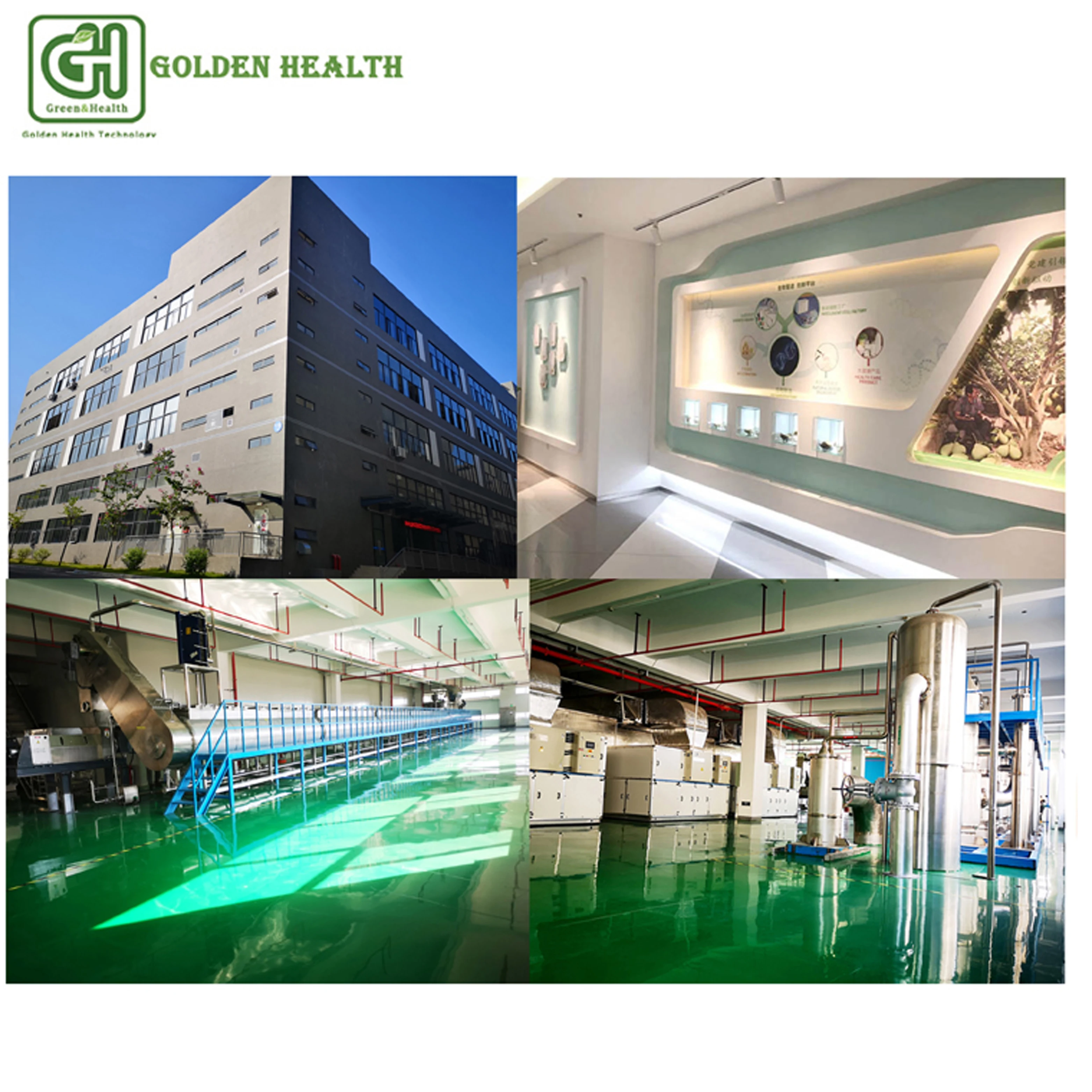 Watersoluble Isoquercitrin Enzymatically Modified Isoquercitrin  15%