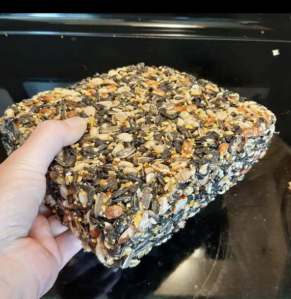 dried mealworms cake1.png