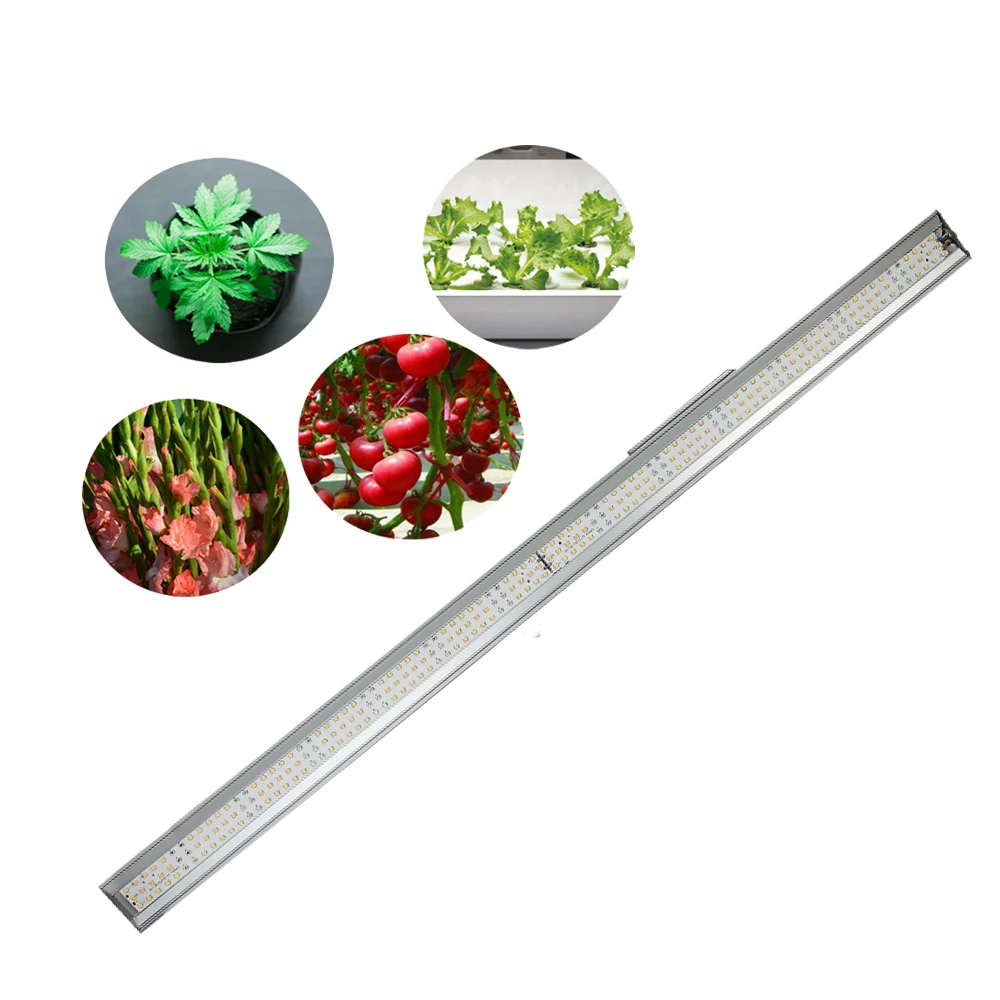 Full Spectrum LED Plant Grow Lights Greenhouse 100w LM301h LED Strip for Indoor Farm