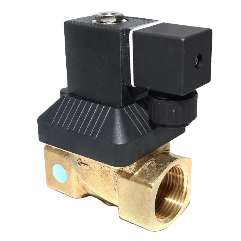 Valves Z131 Brass 2/2 Way Pilot Diaphragm 12V 24V 24V AC DC Thread Air Water Gas Normally closed NC 220 volt Solenoid Valve