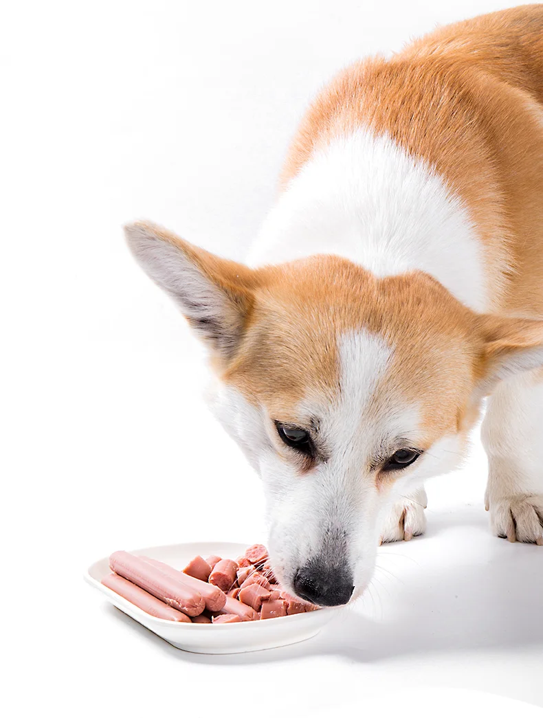 Factory Wholesale dog pet food ham sausage pet snacks natural pet treats sausage for dog cat ready to eat sausage