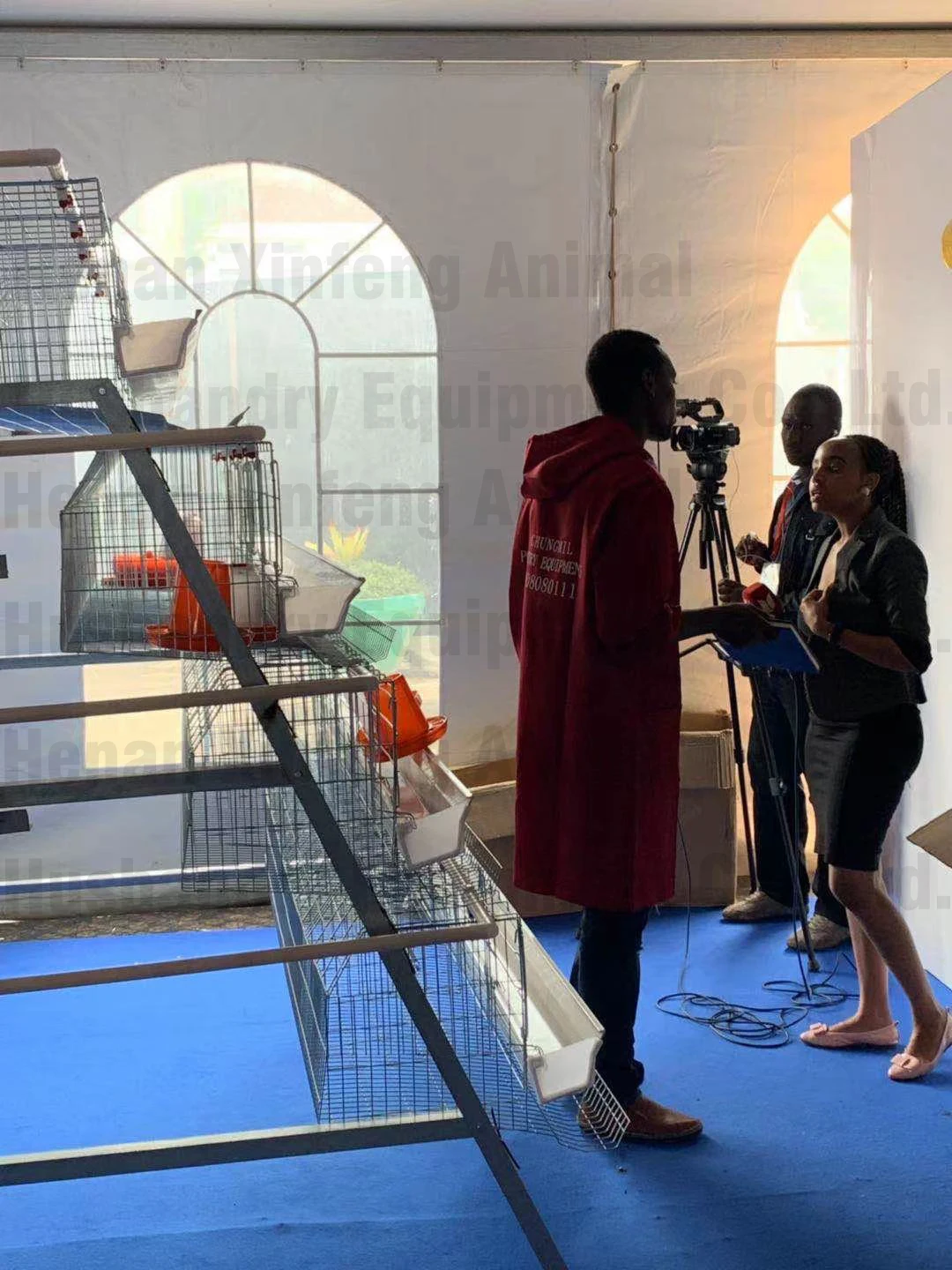 Cheap Price Poultry Farm Equipment Animal Cages Laying Hens Poultry Cages 3 Tiers Mesh Chicken Cage for 10000 Chicken Farm