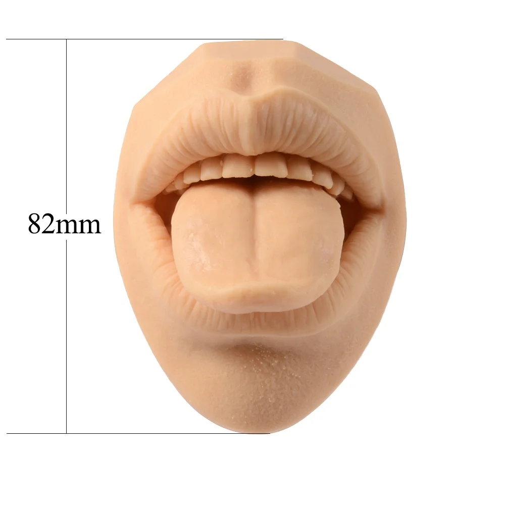 Silicone Model Mouth Teeth Tongue Model  with Acrylic Stand  Puncture Practice Tool  for Piercing Jewelry  Display  Wholesale