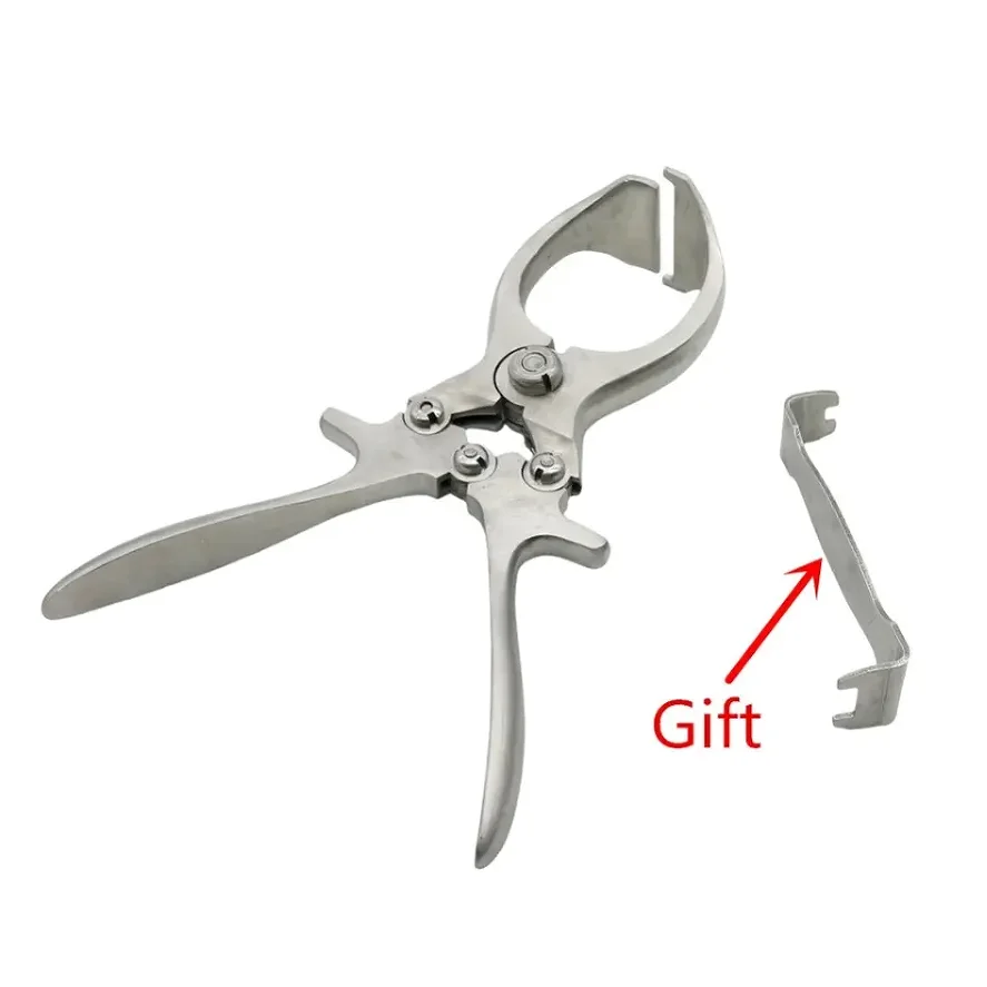 Stainless Steel pig Castration Clamp Forceps For Veterinary Use