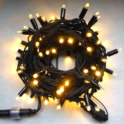 Electric Outdoor LED Lights String Lighting For Party Function Decoration