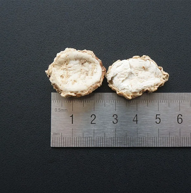 
Wholesale Guangxi dried sand ginger fresh sand ginger chinese sand ginger spices used for Seasoning 