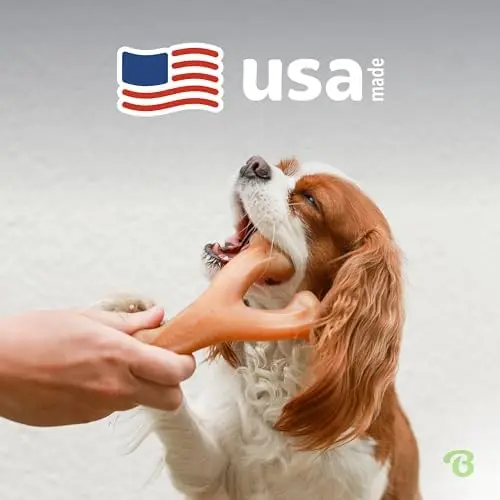 Wishbone Dog Chew Toy Durable Real Bacon Flavored Eco-Friendly  Chewers Medium Size Bone Nylon PP Shape Pet Bite Resistant