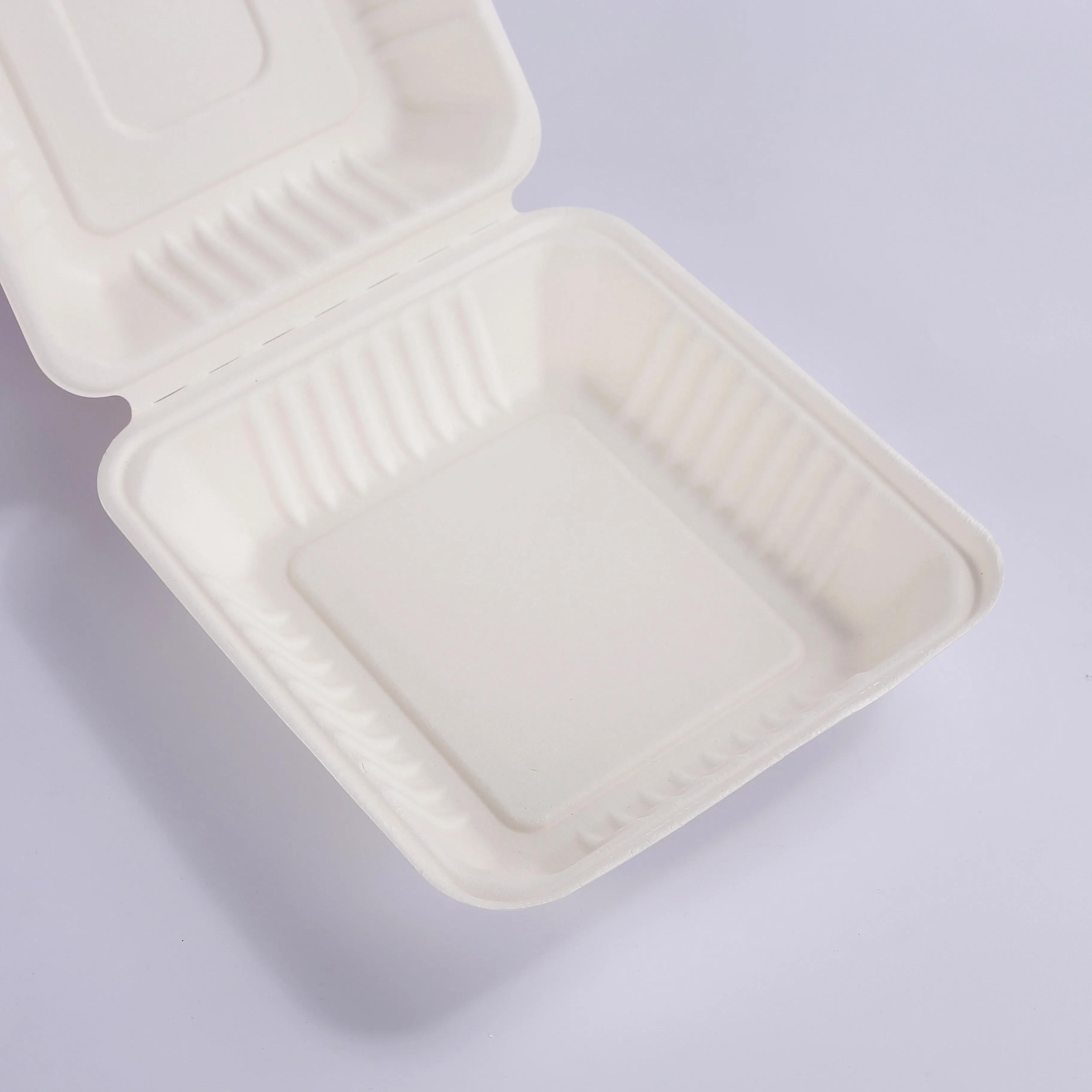 Best Price 8 inch Sugarcane Bagasse Pulp Clamshell Box Takeaway Food Container Paper Lunch Boxes