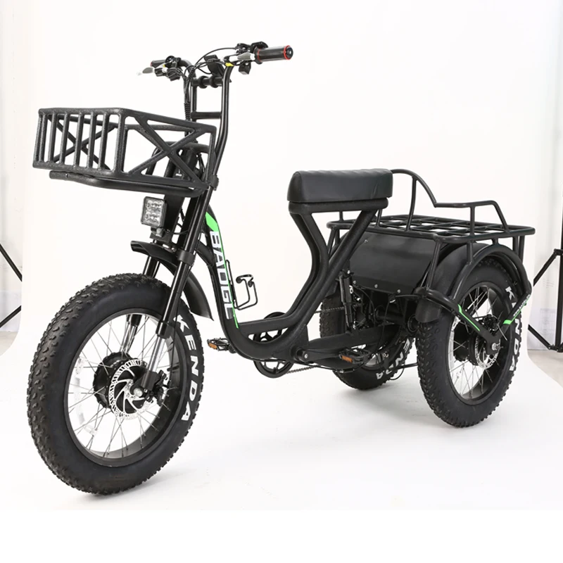 2024 Newest Electric Tricycle Long Driving Range 2 Motors 2 Battery Electric Three Fat Wheel Cargo Bike