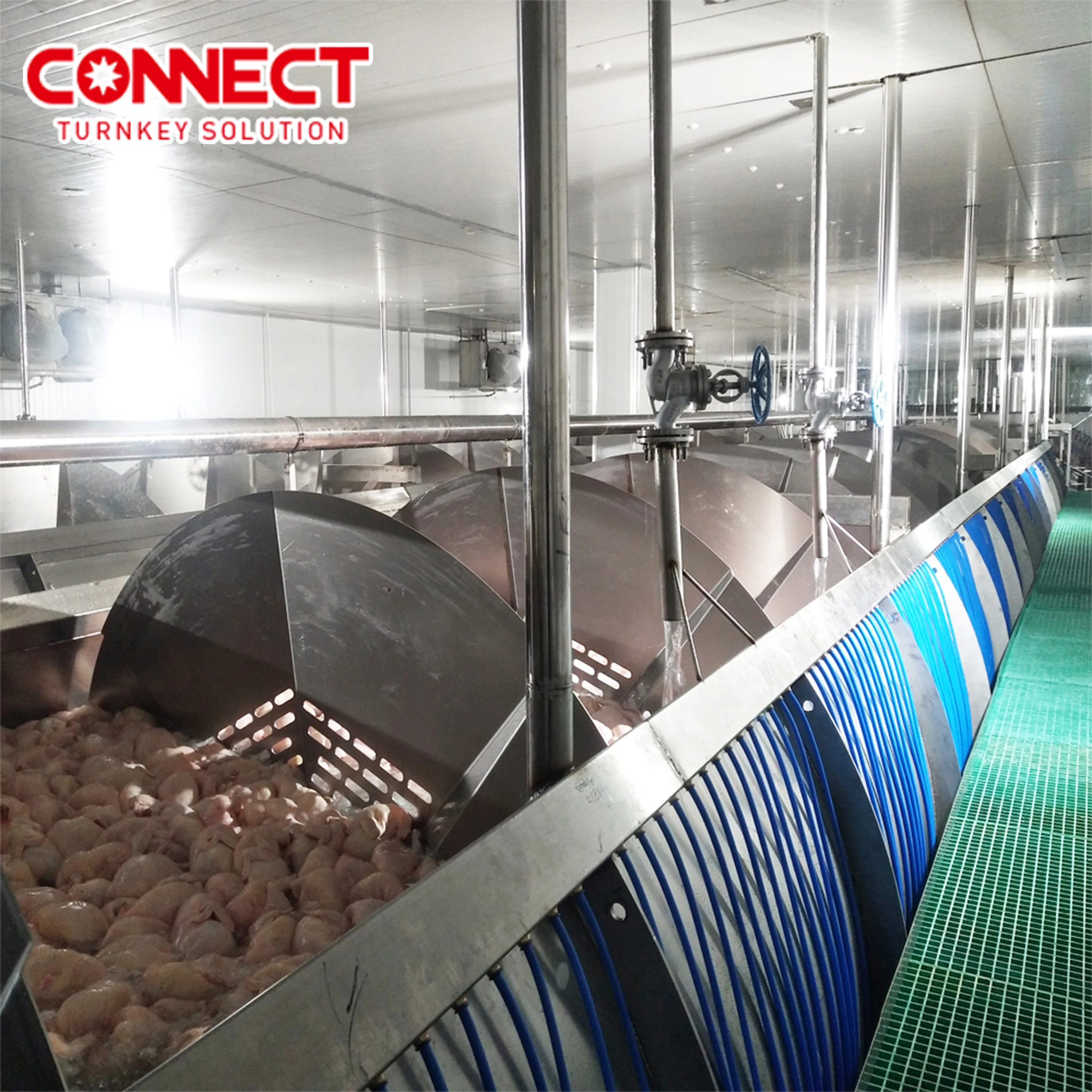 Chicken Feet Processing Chicken Killing Poultry Slaughter Line Chicken Equipment Poultry