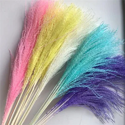 Pampas Grass 18K Goldennatural IFG консервированные цветы сушеные картонная коробка Giga День матери идеи подарка свадебные темы