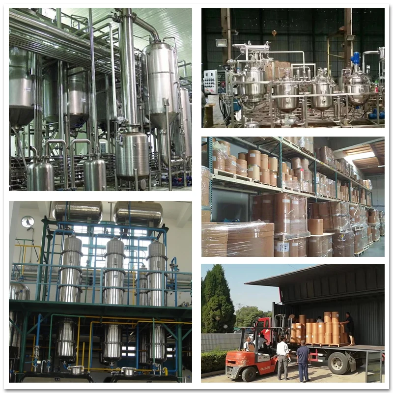 
Bitter almond extract powderSpecification 30: 1 High ratio extraction Factory stock 