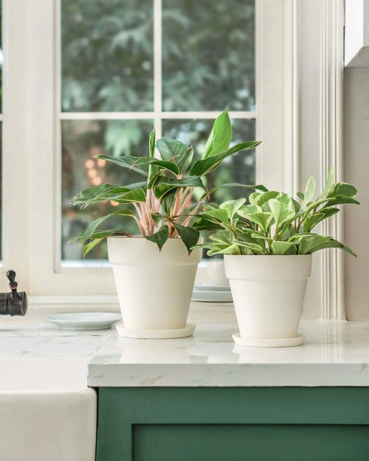 wholesale bulk Custom planters cheap stackable flower pots white eco friendly bamboo fiber garden flower pots